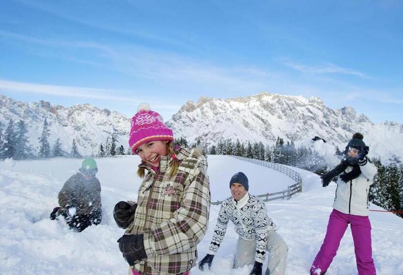 هتل Alpenrose Mühlbach Am Hochkönig