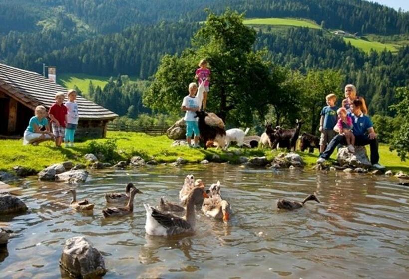 هتل Alpenrose Mühlbach Am Hochkönig