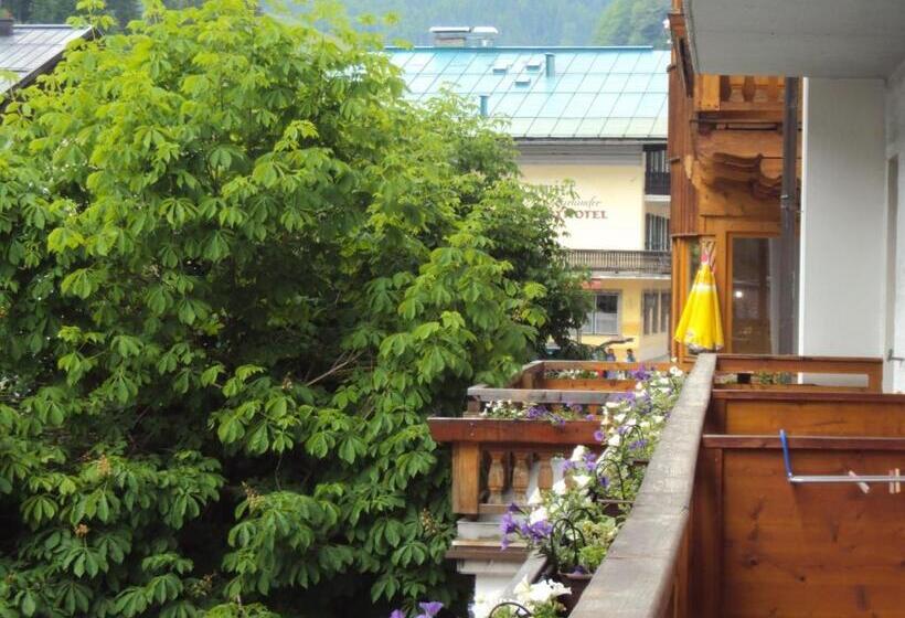 هتل Alpenrose Mühlbach Am Hochkönig