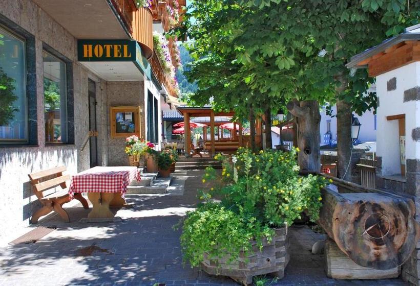 هتل Alpenrose Mühlbach Am Hochkönig