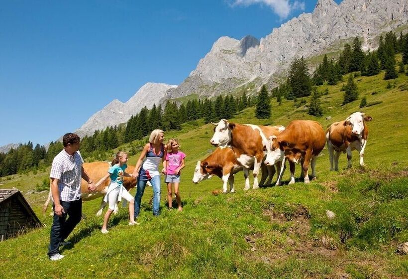 هتل Alpenrose Mühlbach Am Hochkönig