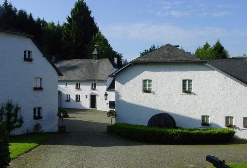 Отель Le Vieux Moulin