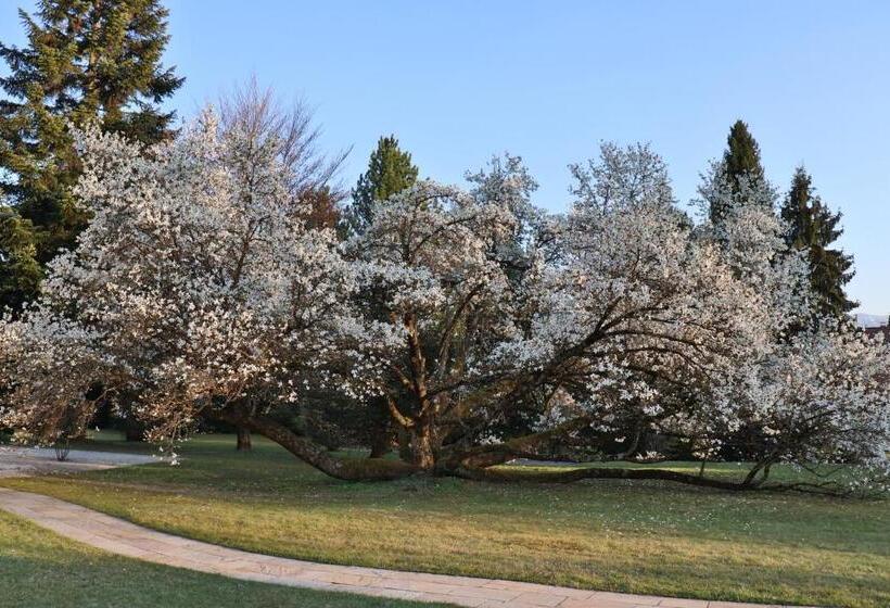 هتل Villa Konstanze