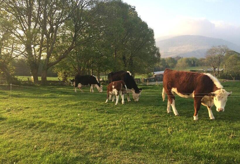 Inveraray Farm B&b