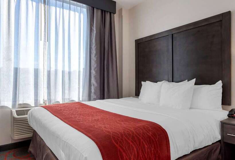 هتل Comfort Inn & Suites Near Stadium
