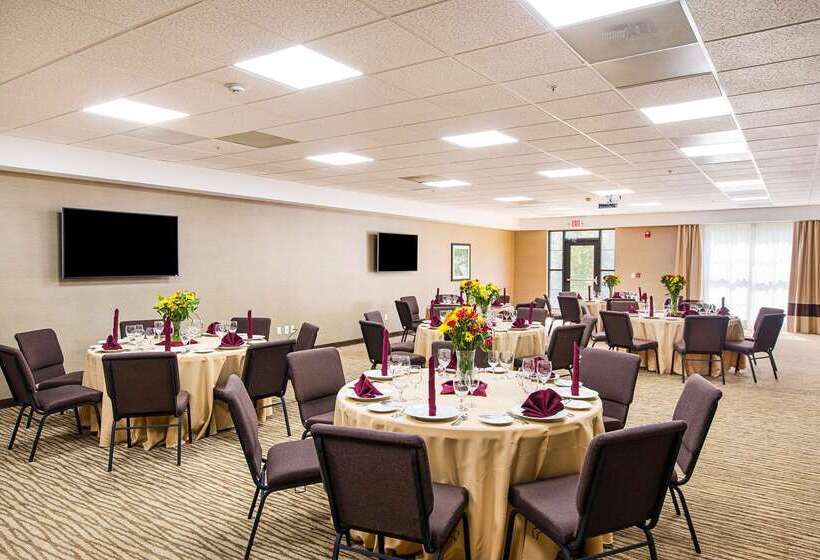 هتل Comfort Suites Greenville South