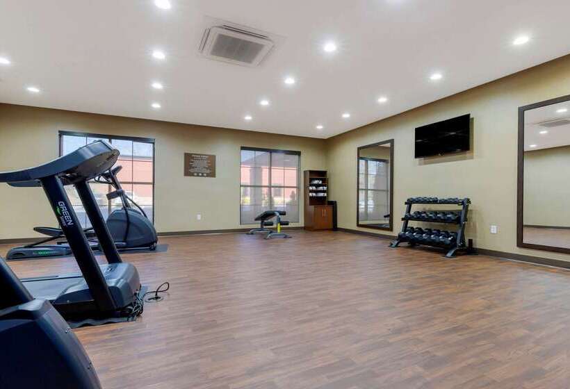 هتل Comfort Suites Greenville South