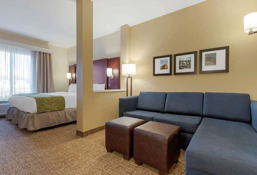 هتل Comfort Suites Greenville South