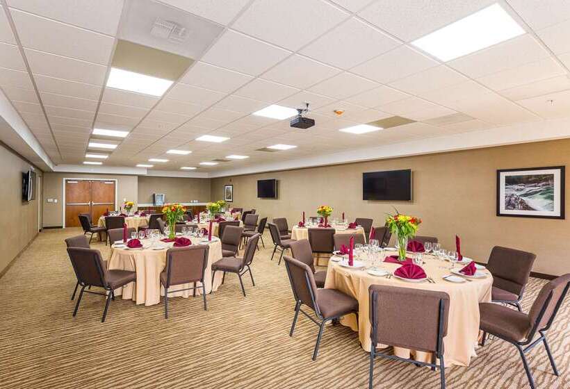 هتل Comfort Suites Greenville South