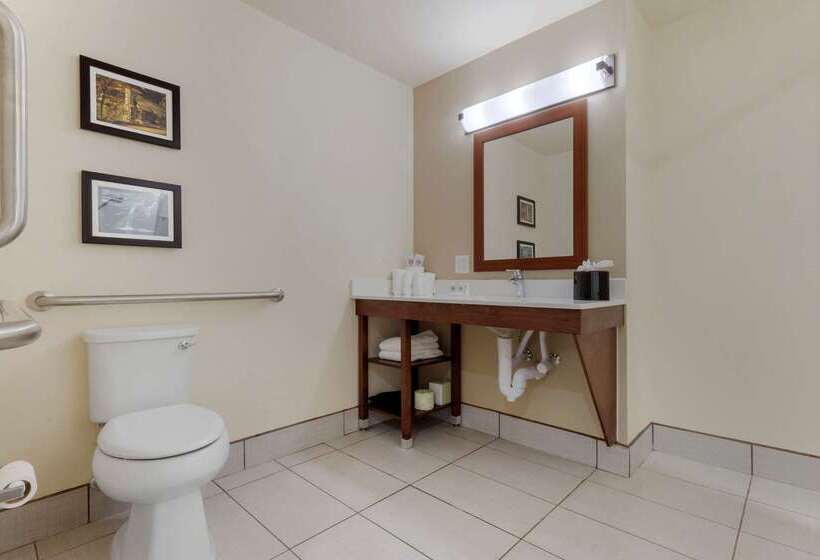 هتل Comfort Suites Greenville South