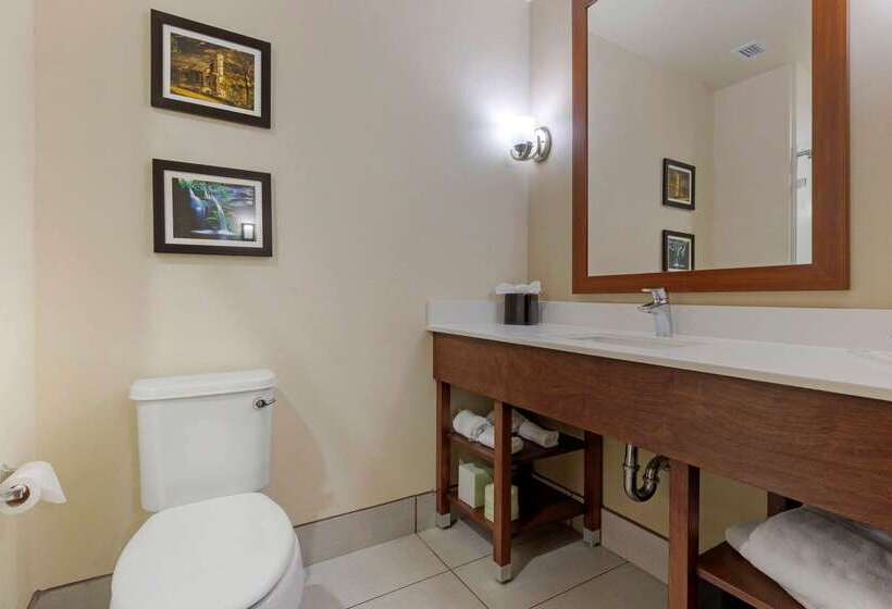هتل Comfort Suites Greenville South