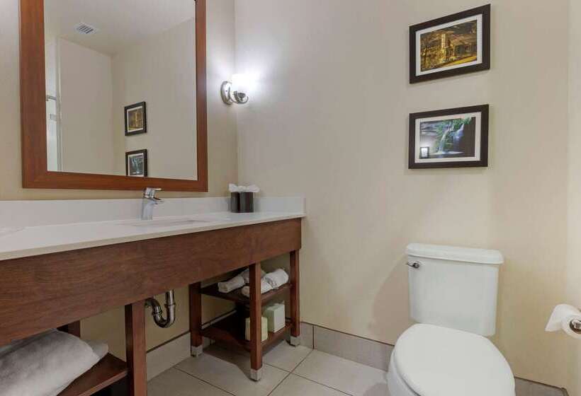 هتل Comfort Suites Greenville South