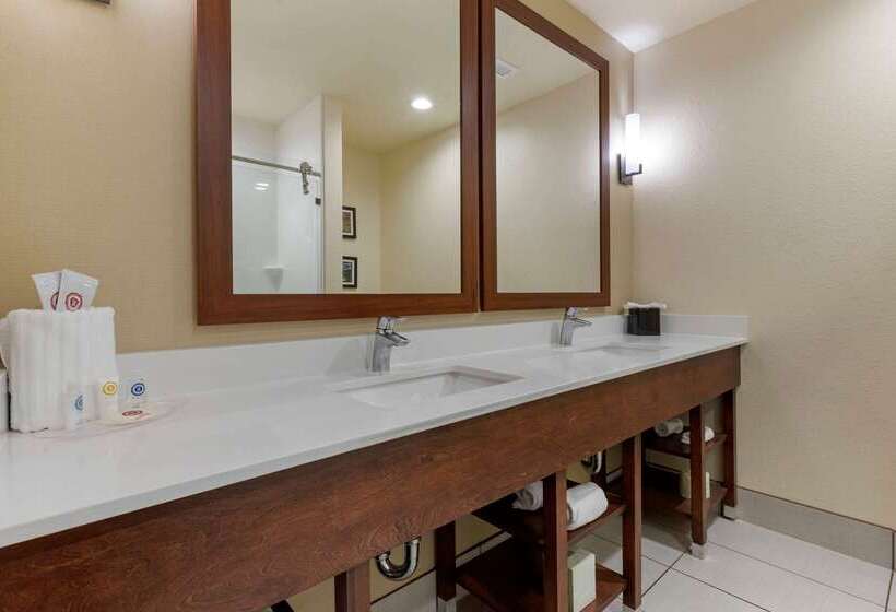 هتل Comfort Suites Greenville South