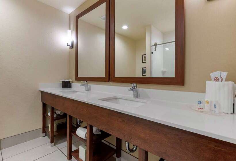 هتل Comfort Suites Greenville South