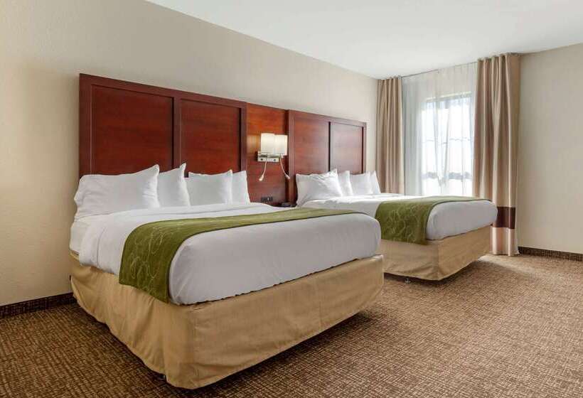 هتل Comfort Suites Greenville South