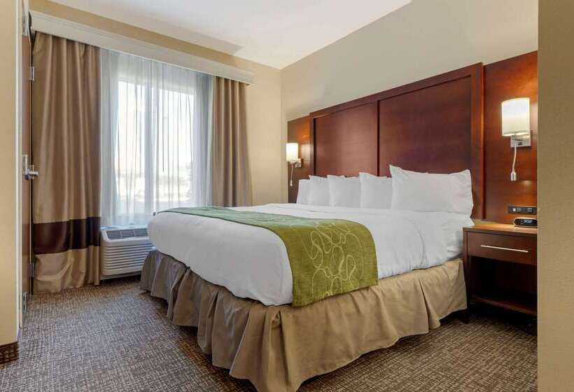 هتل Comfort Suites Greenville South