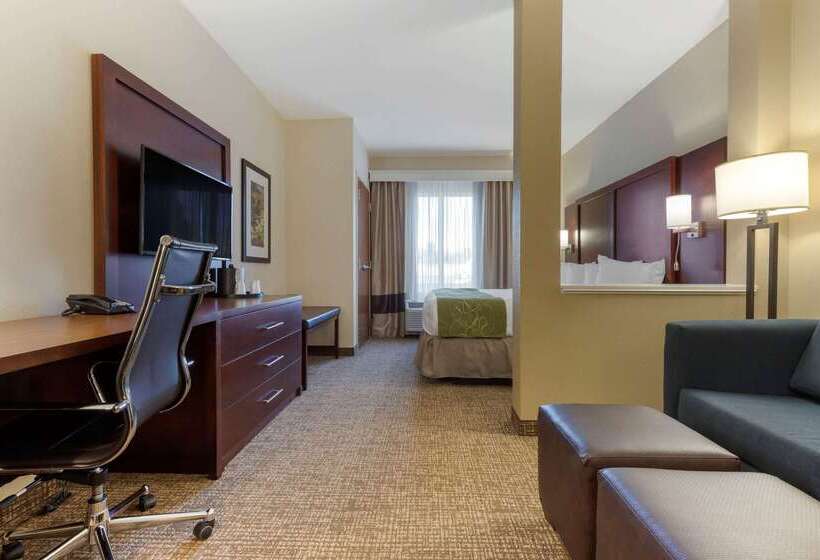 هتل Comfort Suites Greenville South