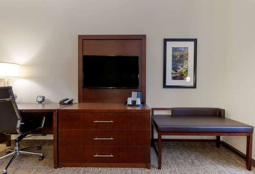 هتل Comfort Suites Greenville South