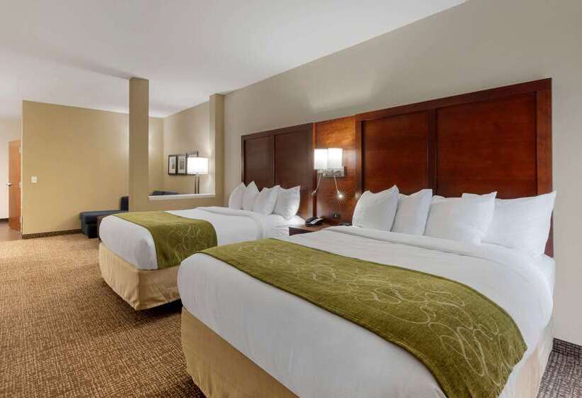 هتل Comfort Suites Greenville South