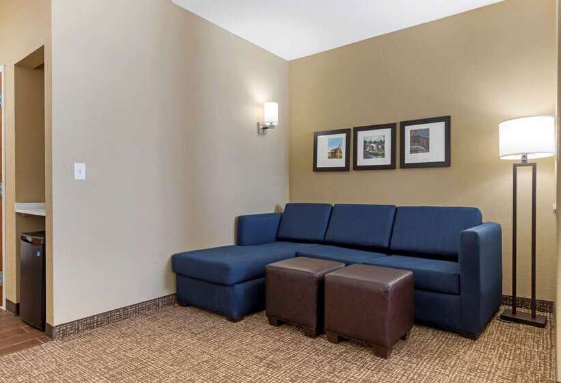 هتل Comfort Suites Greenville South