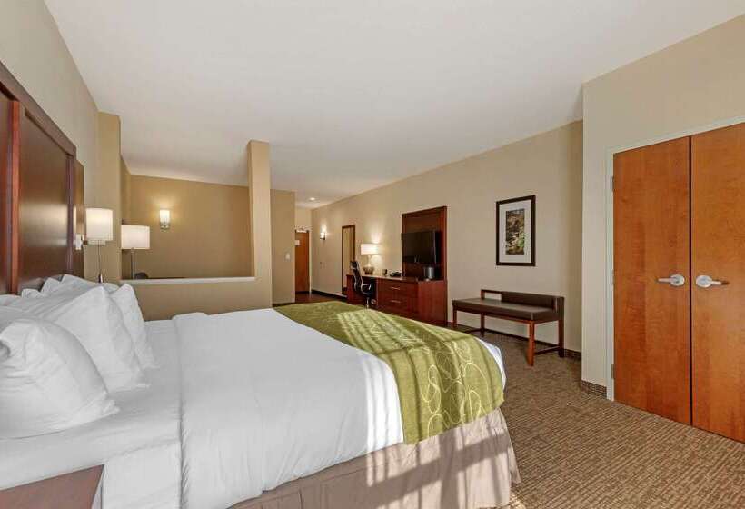 هتل Comfort Suites Greenville South