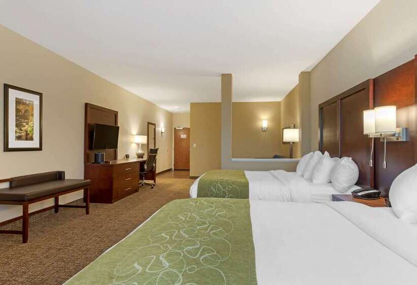 هتل Comfort Suites Greenville South