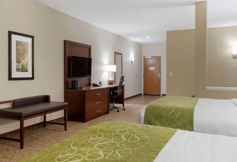 هتل Comfort Suites Greenville South