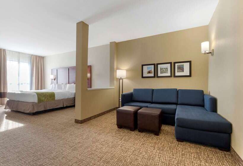 هتل Comfort Suites Greenville South