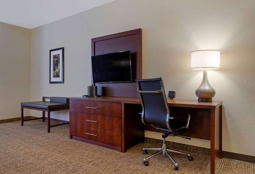 هتل Comfort Suites Greenville South