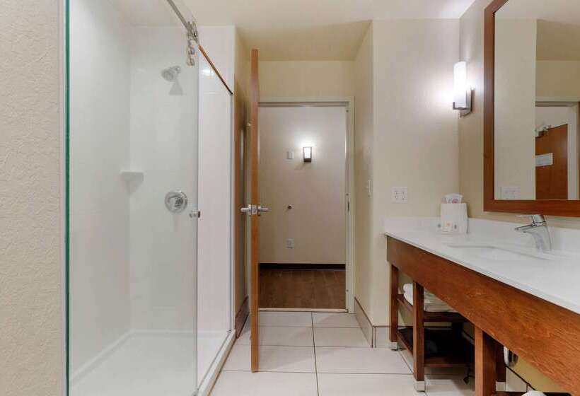 هتل Comfort Suites Greenville South
