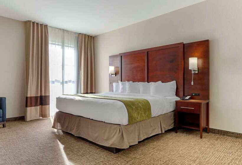 هتل Comfort Suites Greenville South