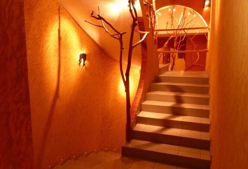 هتل Kactus Lodge