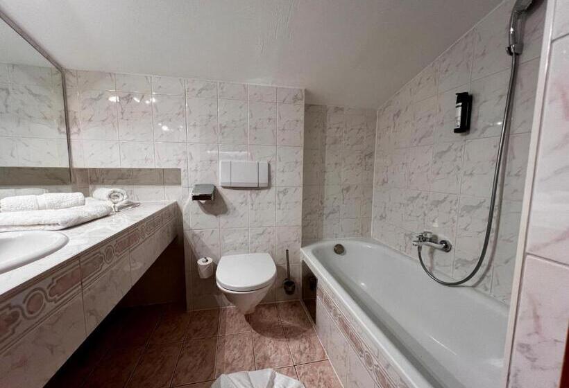 Wellness Aparthotel Lechlife Incl Pool   400m Zum Skilift