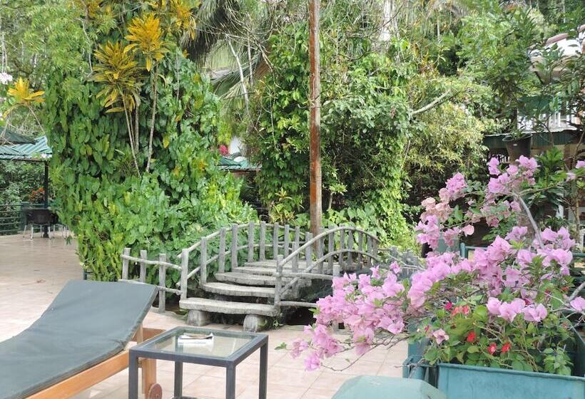 酒店 Rainforest Lodge