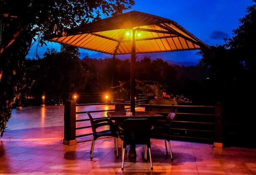 فندق Rainforest Lodge
