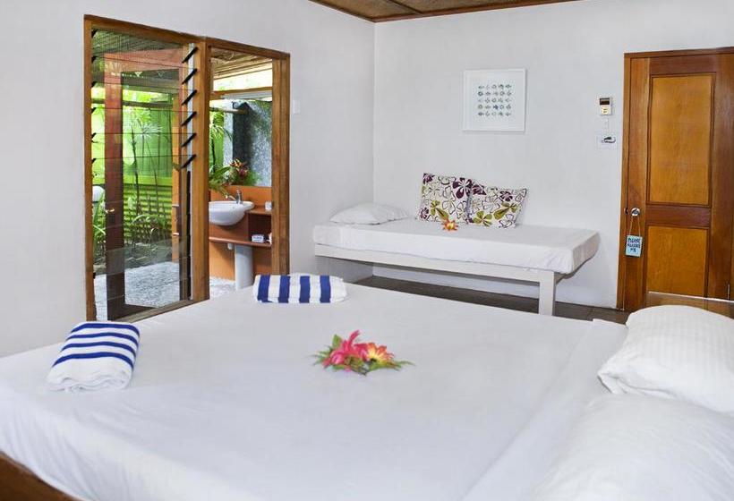 فندق صغير Beachouse Resort