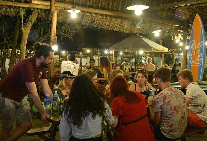 هاستل Tulia House Backpackers