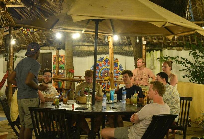 هاستل Tulia House Backpackers