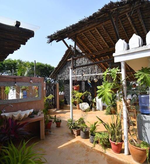 هاستل Tulia House Backpackers
