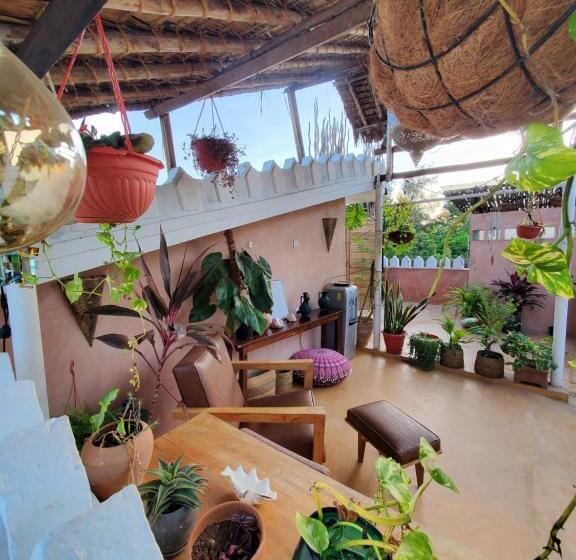هاستل Tulia House Backpackers