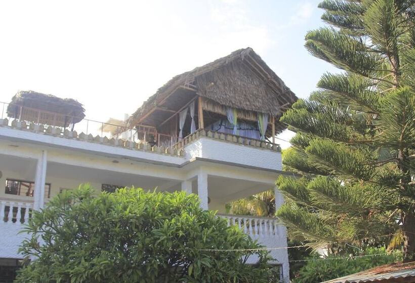 هاستل Tulia House Backpackers