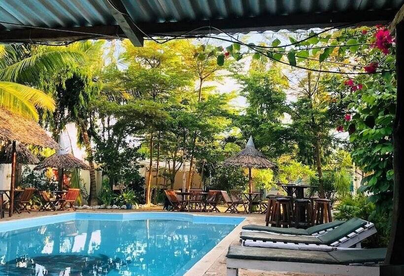 هاستل Tulia House Backpackers