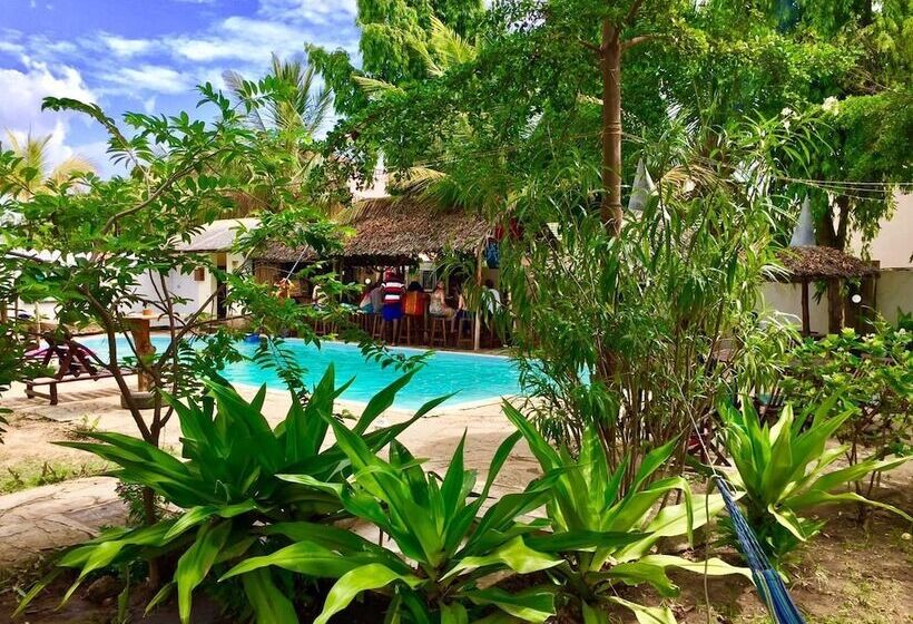 هاستل Tulia House Backpackers