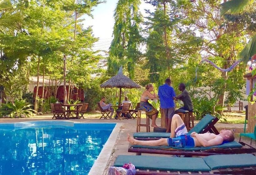 هاستل Tulia House Backpackers
