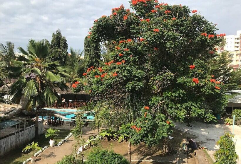 هاستل Tulia House Backpackers