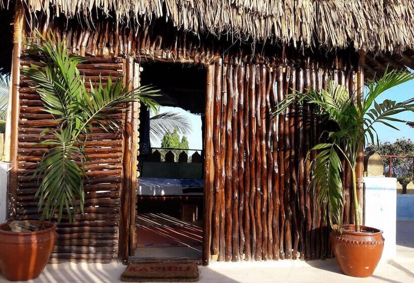 هاستل Tulia House Backpackers