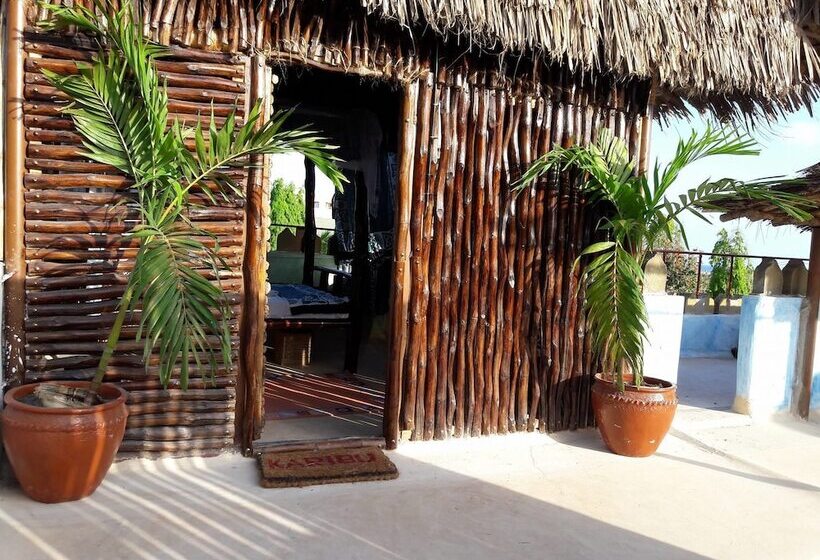هاستل Tulia House Backpackers