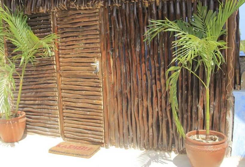 هاستل Tulia House Backpackers