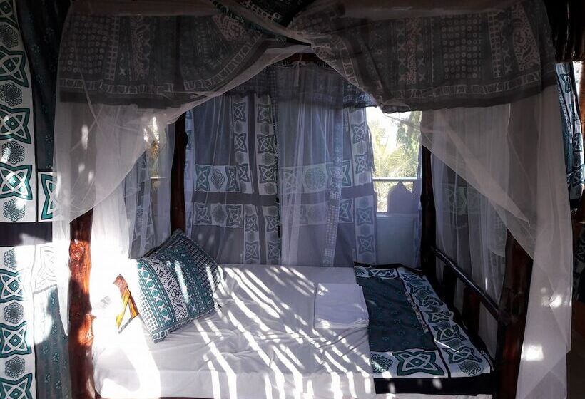 هاستل Tulia House Backpackers