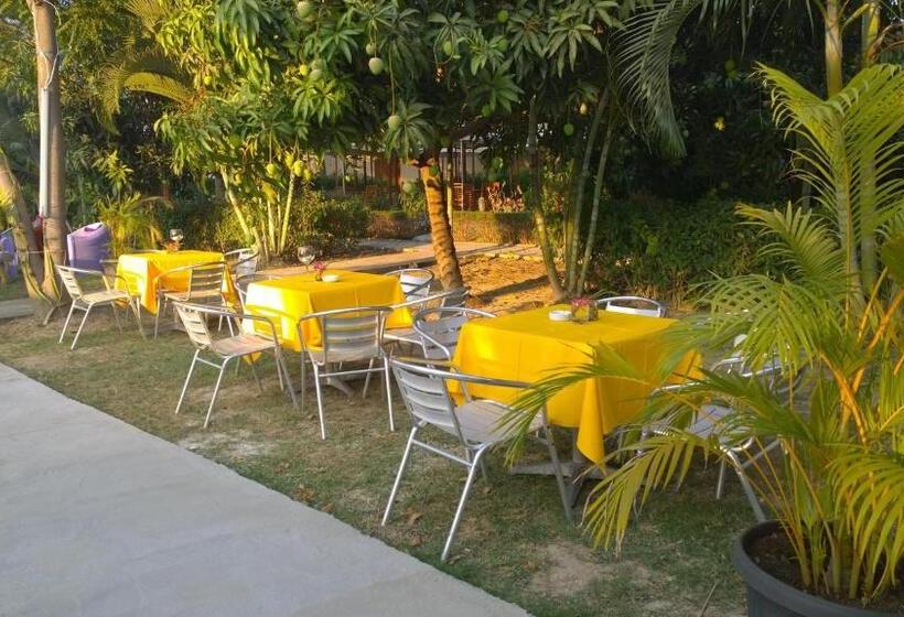 استراحتگاه Palm Malinamoc